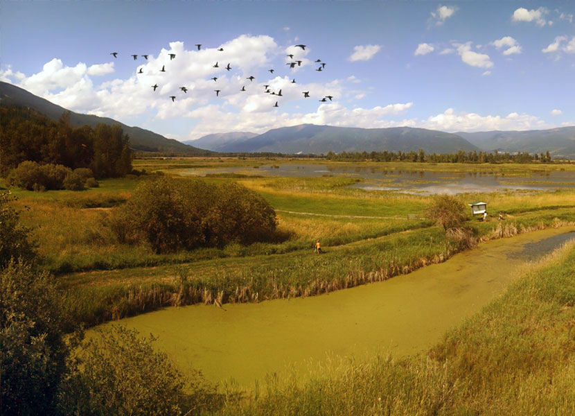 Creston Wildlife Sanctuary 